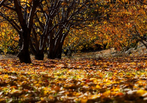 OTOÑO EN EXTREMADURA